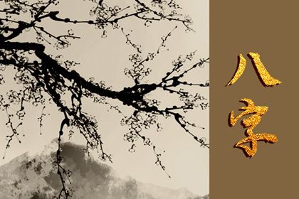 五行分析：偏枯与平衡